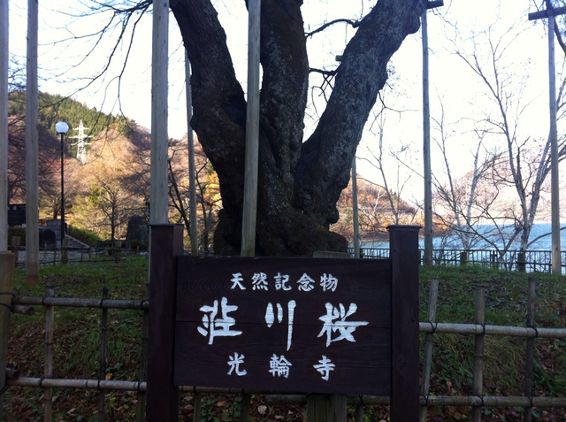 20110207.jpg