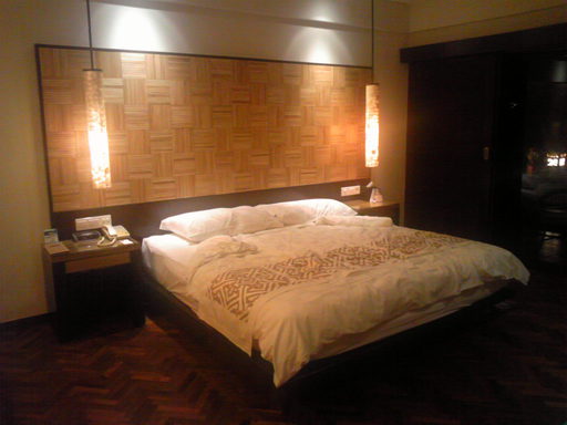 20090110 ホテルその２