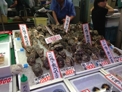 20130207 岩牡蠣たち