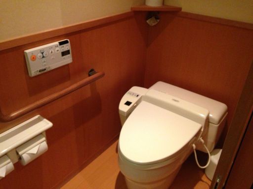 20130213 トイレはウォシュレット