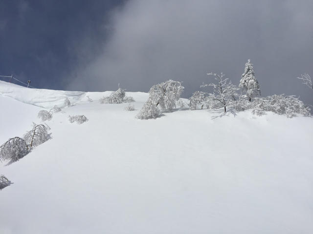 20150314 山の上の方