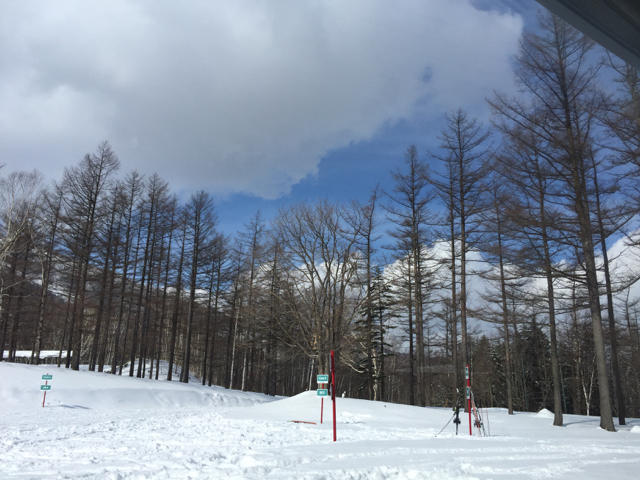 20150319 いいお天気になってきました